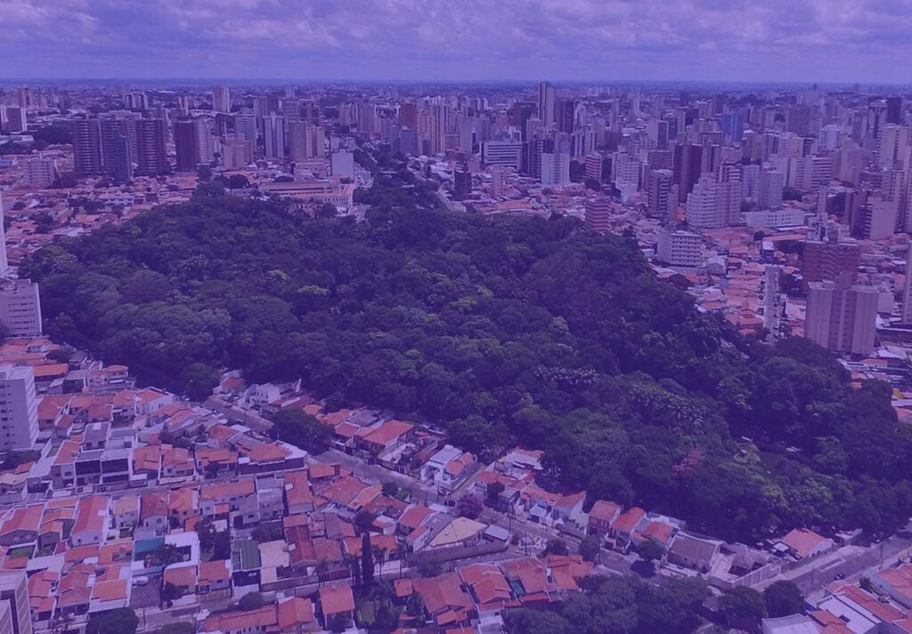 Cidade de Campinas